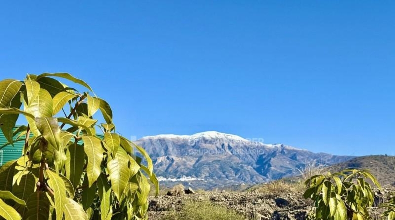 Malaga - Vélez-Málaga - 22982m2