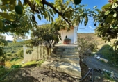 Xalet independent amb terreny en venda a la España, Vélez-Málaga, ref.: TR382345 foto