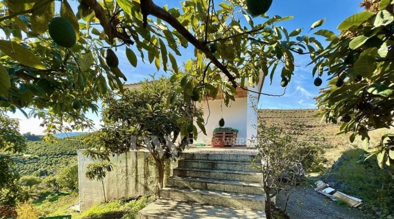 Malaga - Vélez-Málaga - 22982m2