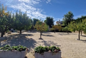 Foto 13