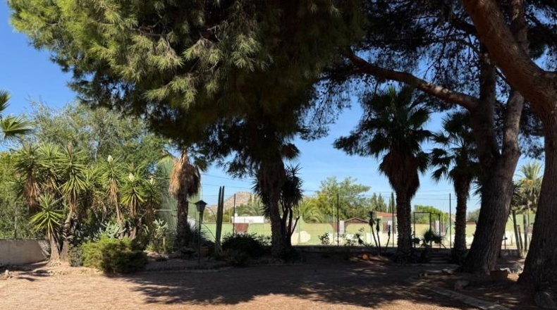Alicante - Aspe - 5000m2