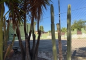 Chalet independiente con terreno en venta en la España, Aspe, ref: TR344964 foto