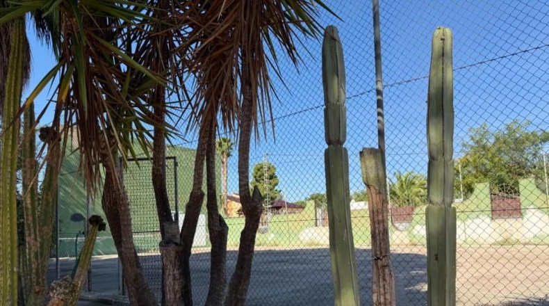 Alicante - Aspe - 5000m2