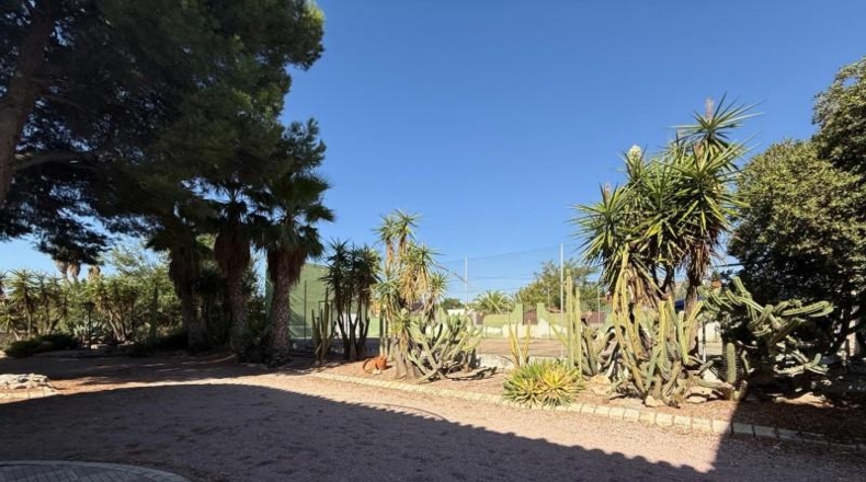Alicante - Aspe - 5000m2