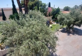 Foto 9