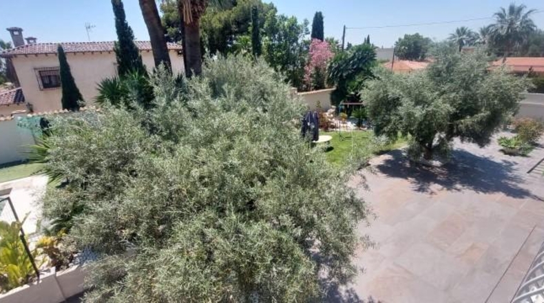Alicante - San Vicente del Raspeig - 1400m2