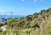 Terreny no urbanitzable en venda a la España, Marbella, ref.: TR333374 foto