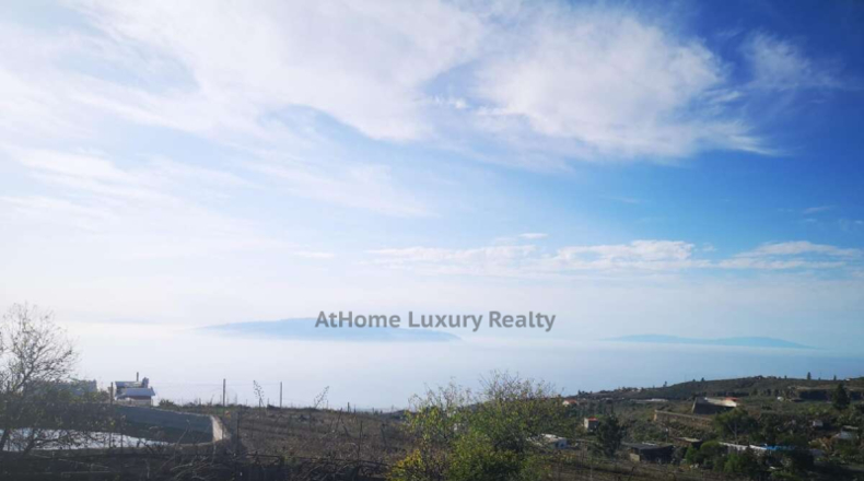 Santa Cruz de Tenerife - Adeje - 17000m2