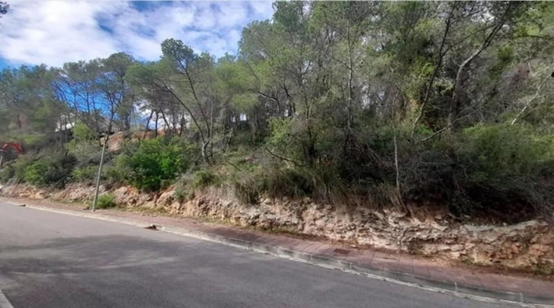 Barcelona - Sant Pere de Ribes - 3925m2