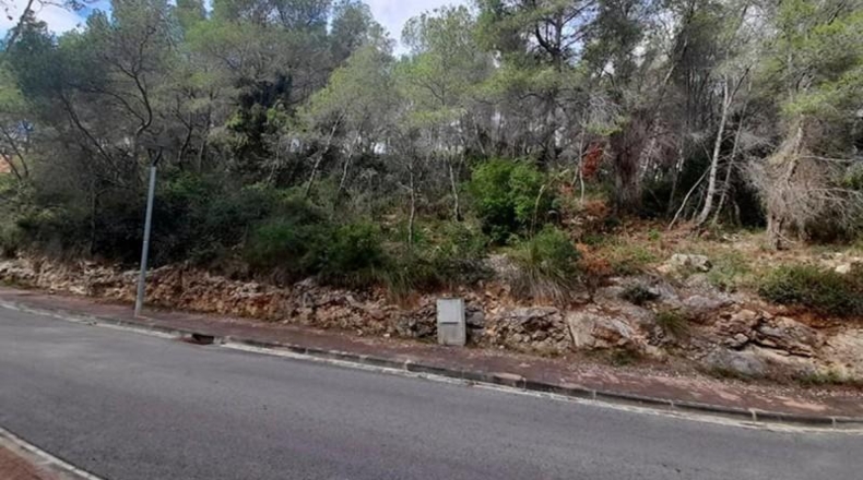 Barcelona - Sant Pere de Ribes - 3925m2