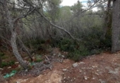 Suelo urbano en venta en la España, Sant Pere de Ribes, ref: TR319224 foto