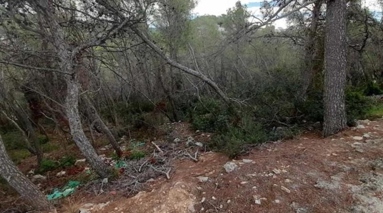 Barcelona - Sant Pere de Ribes - 3925m2