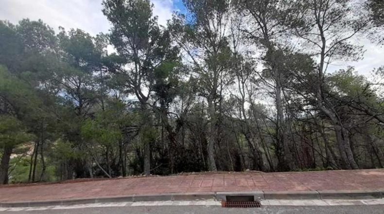 Barcelona - Sant Pere de Ribes - 3925m2