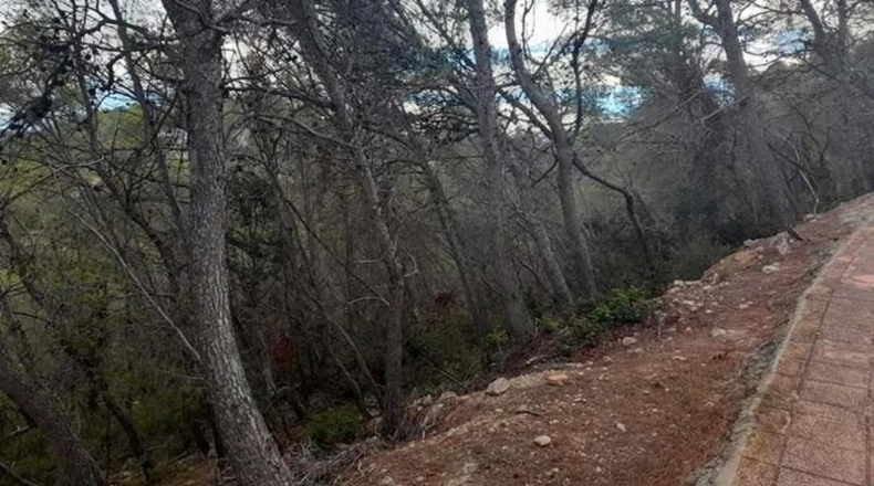 Barcelona - Sant Pere de Ribes - 3925m2