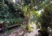 Chalet independiente con terreno en venta en la España, Begur, ref: TR269234 foto