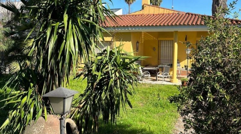 Badajoz - Badajoz - 1450m2