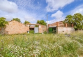 Non-developable land for sale on España, Doñinos de Salamanca, ref: TR131216 photo