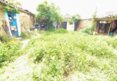 Non-developable land for sale on España, Doñinos de Salamanca, ref: TR131216 photo
