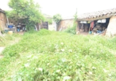 Non-developable land for sale on España, Doñinos de Salamanca, ref: TR131216 photo