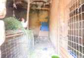 Non-developable land for sale on España, Doñinos de Salamanca, ref: TR131216 photo