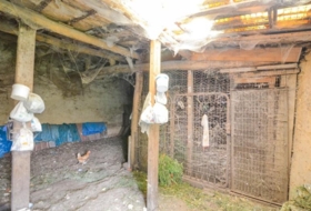 Foto 15