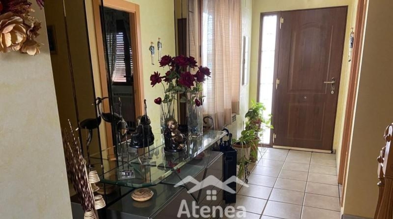 Albacete - Albacete - 360m2