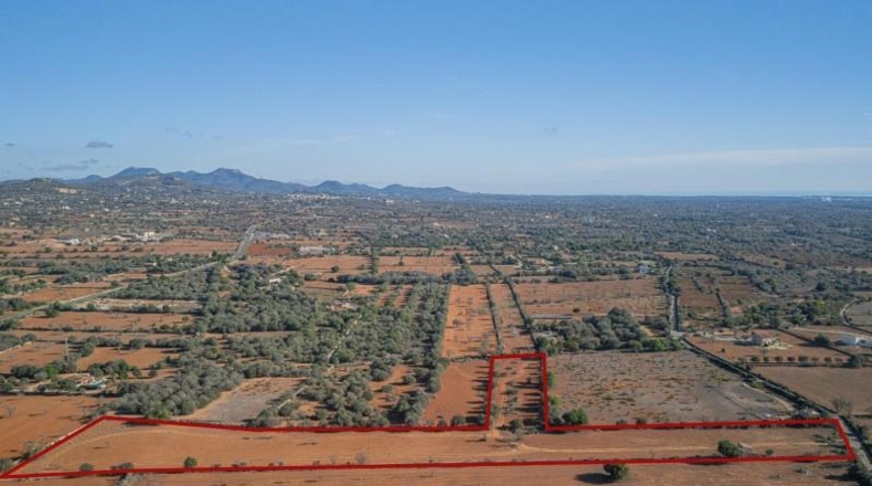Islas Baleares - Santañy - 16342m2