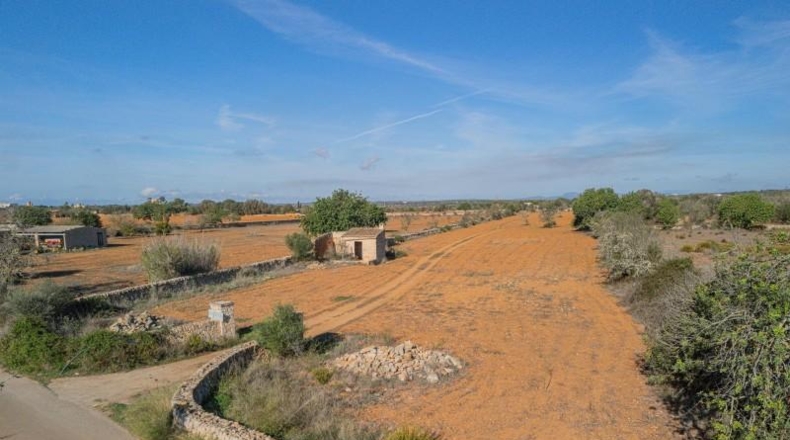Islas Baleares - Santañy - 16342m2