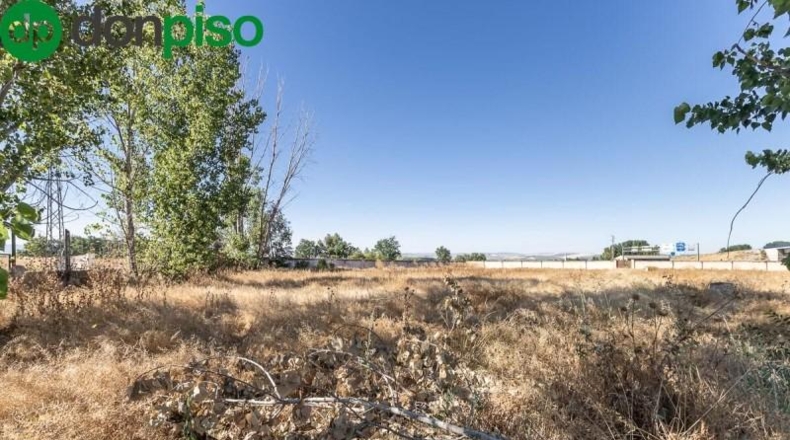 Granada - Granada - 15000m2