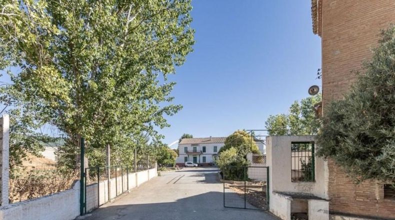 Granada - Granada - 15000m2