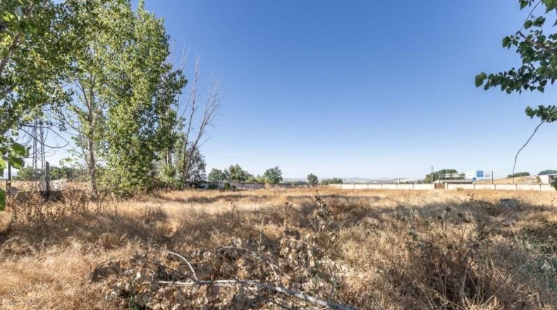 Granada - Granada - 15000m2