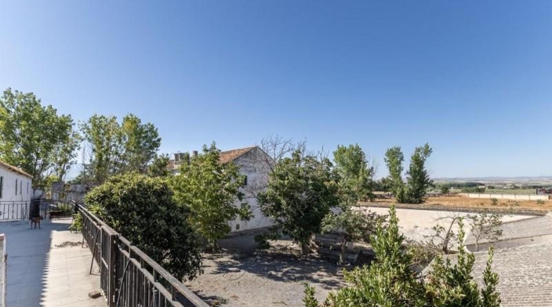Granada - Granada - 15000m2