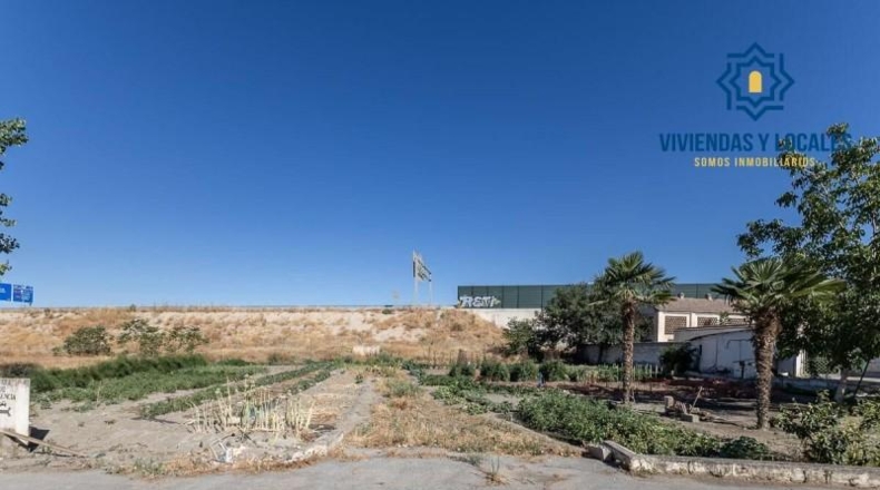 Granada - Granada - 15000m2