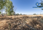 Chalet independiente con terreno en venta en la España, Granada, ref: TR238873 foto