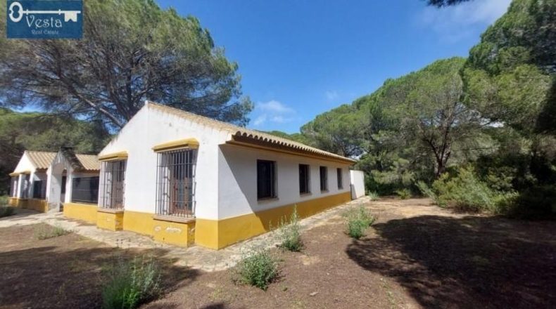 Cádiz - Puerto Real - 120000m2