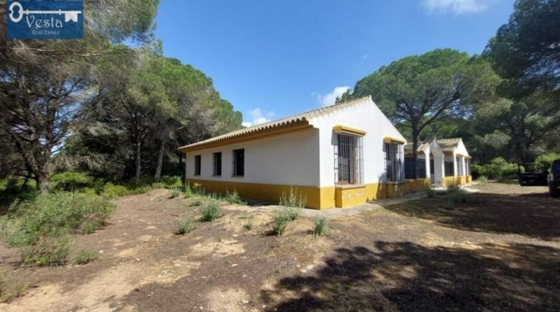 Cádiz - Puerto Real - 120000m2