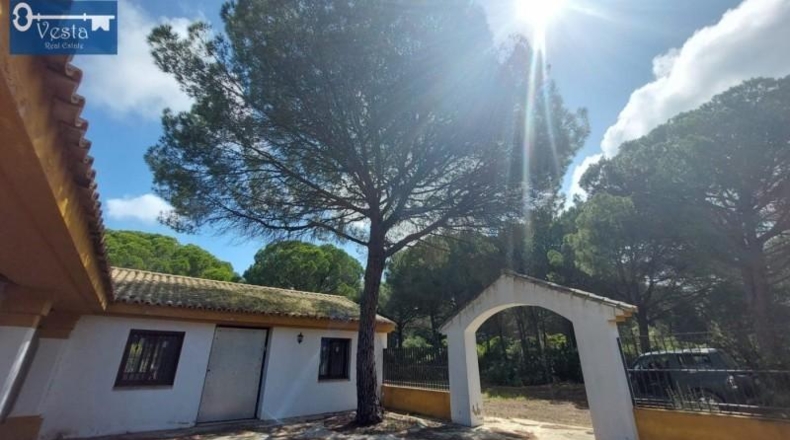 Cádiz - Puerto Real - 120000m2