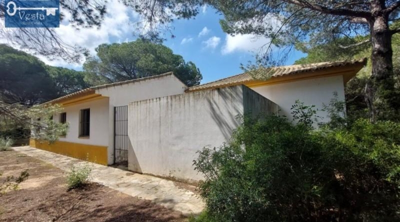 Cádiz - Puerto Real - 120000m2