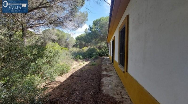 Cádiz - Puerto Real - 120000m2