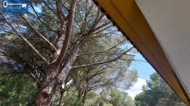Cádiz - Puerto Real - 120000m2