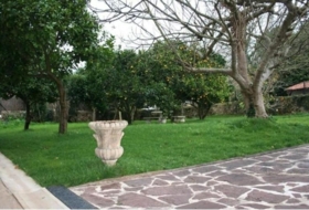 Foto 15