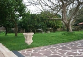 Casa de camp amb terreny en venda a la España, Novales, ref.: TR339286 foto