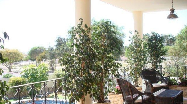 Alicante - Rojales - 850m2