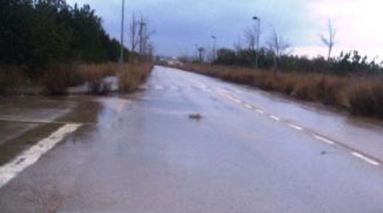 Tarragona - el Vendrell - 2716m2