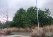Sòl urbà en venda a la España, el Vendrell, ref.: TR312493 foto