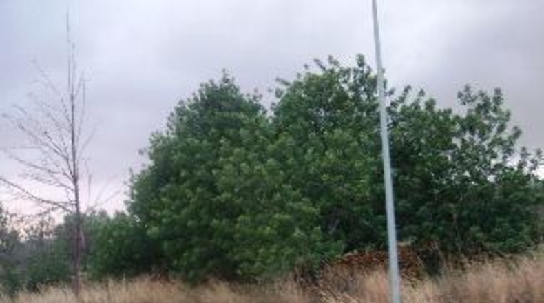 Tarragona - el Vendrell - 2716m2