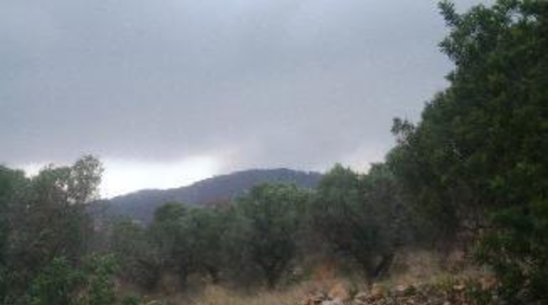 Tarragona - el Vendrell - 2716m2