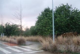 Foto 14