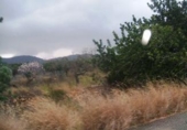 Sòl urbà en venda a la España, el Vendrell, ref.: TR312493 foto
