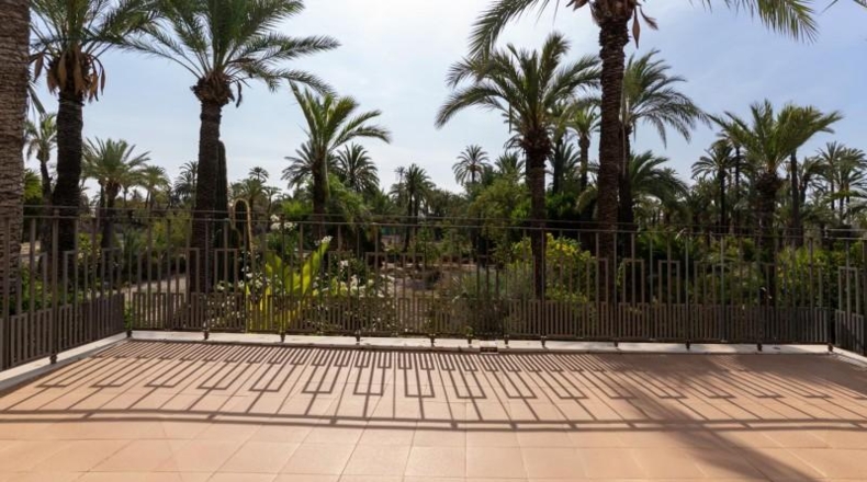 Alicante - Elche - 12000m2